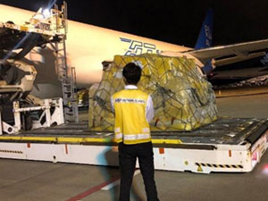Cargo Operators’ Flight Supervision