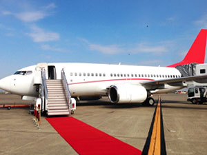 Diplomatic and VIP Flight Handling Service